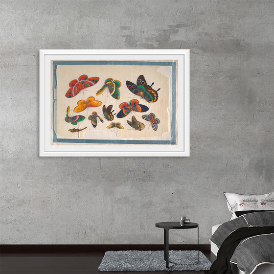 "Twelve Paintings of Butterflies"