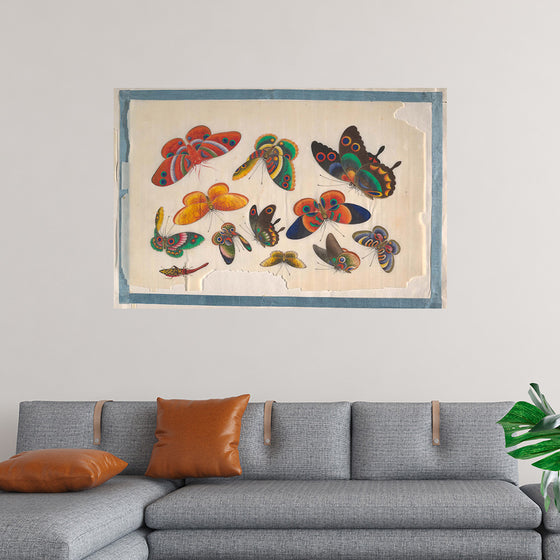 "Twelve Paintings of Butterflies"