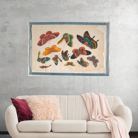 "Twelve Paintings of Butterflies"