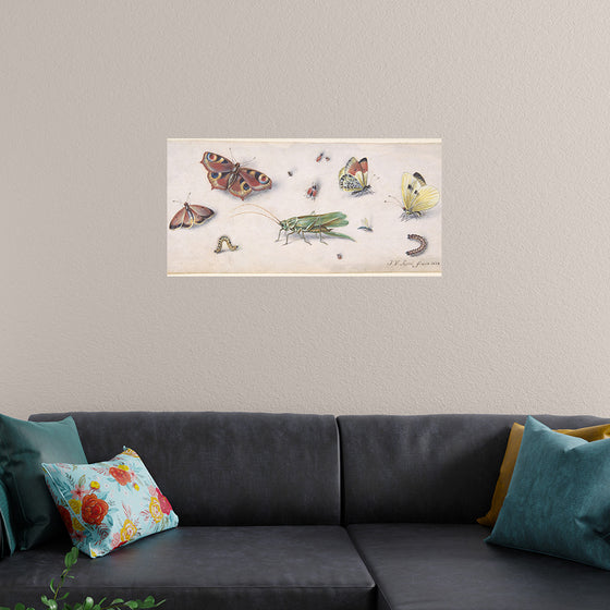 "Insects, Butterflies, and a Grasshopper", Jan van Kessel