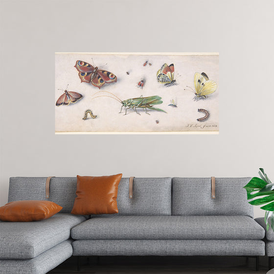 "Insects, Butterflies, and a Grasshopper", Jan van Kessel