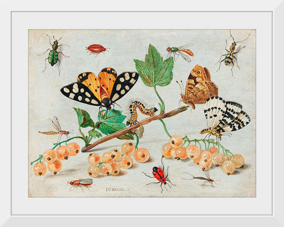 "Insects and Fruits (1660-1665)", Jan van Kessel