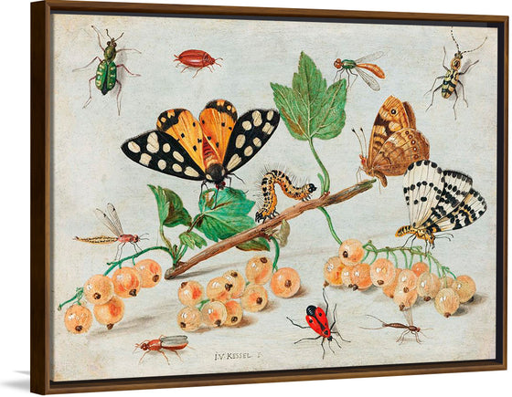 "The Dark Veinlet from The Butterflies and Moths of America Part 3 (1862)",  Louis Prang & Co