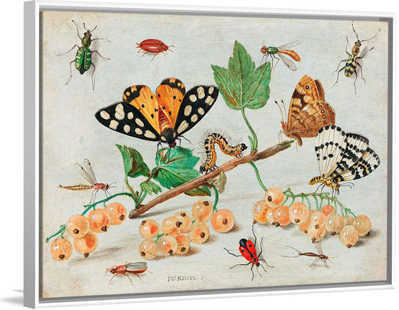 "The Dark Veinlet from The Butterflies and Moths of America Part 3 (1862)",  Louis Prang & Co