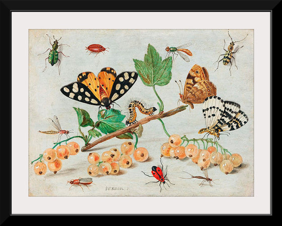 "The Dark Veinlet from The Butterflies and Moths of America Part 3 (1862)",  Louis Prang & Co