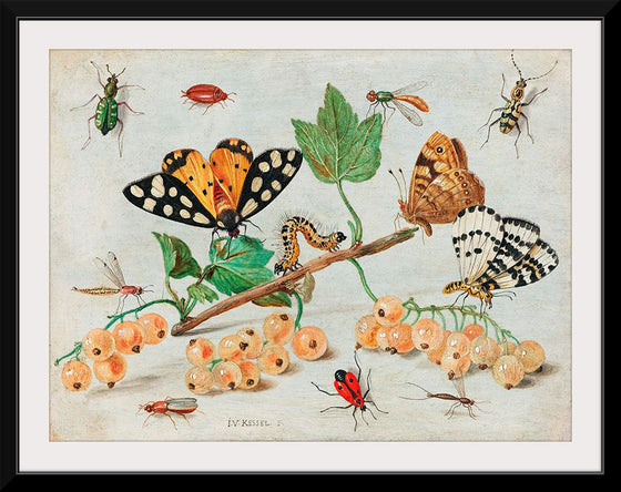 "The Dark Veinlet from The Butterflies and Moths of America Part 3 (1862)",  Louis Prang & Co