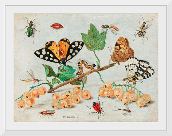 "The Dark Veinlet from The Butterflies and Moths of America Part 3 (1862)",  Louis Prang & Co