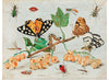 "The Dark Veinlet from The Butterflies and Moths of America Part 3 (1862)",  Louis Prang & Co