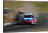 “Seat in Race” captures the electrifying moment of two race cars in intense competition, immortalized in this stunning print. The vivid colors and dynamic composition plunge viewers into the heart of the race, where speed and skill collide. The lead car, adorned in a striking red and blue livery, fiercely defends its position against a determined rival amidst a cloud of dust - a testament to the unyielding spirit of motorsport. 