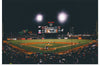 "Baseball Game at AT&T Park in San Francisco", Nick Jio