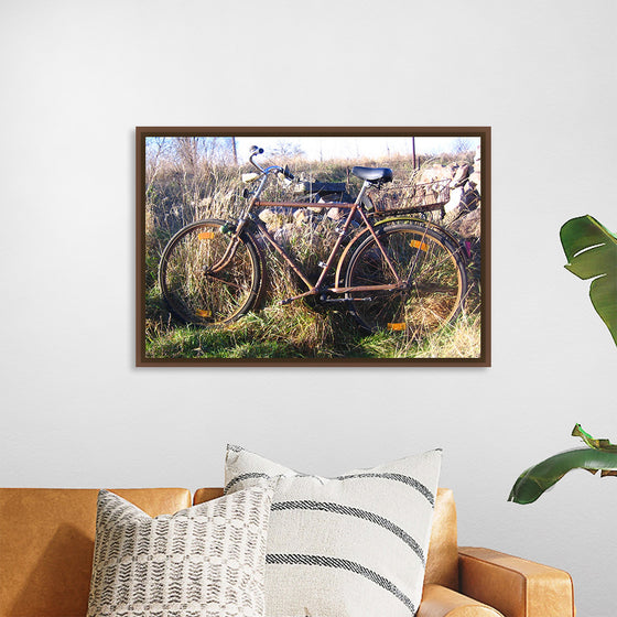 "Bicycle in The Sun"