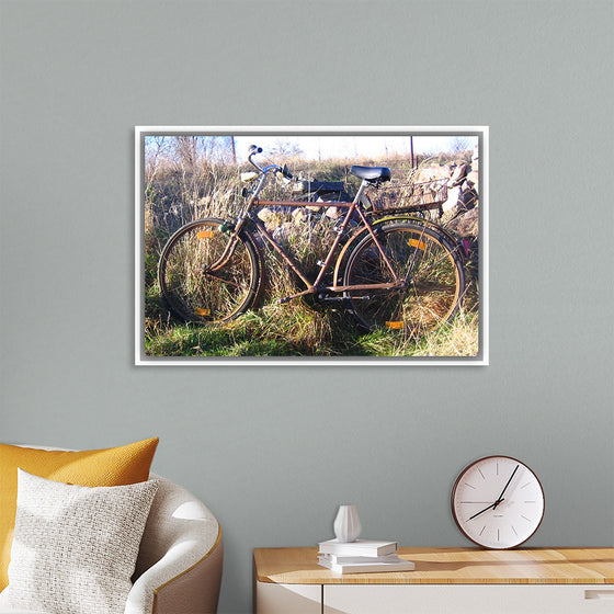 "Bicycle in The Sun"