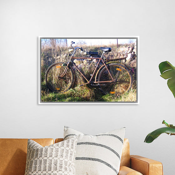 "Bicycle in The Sun"