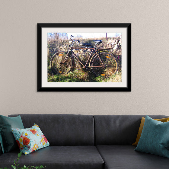 "Bicycle in The Sun"