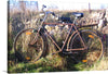 “Bicycle in The Sun” captures the serene beauty of a vintage bicycle, basking in the golden embrace of sunlight. Every detail, from the rusted frame telling tales of its glorious past to the wild grass that gently sways around it, is meticulously captured. This artwork isn’t just a print; it’s a journey back in time, an exploration of tranquility and nostalgia. 