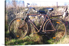  “Bicycle in The Sun” captures the serene beauty of a vintage bicycle, basking in the golden embrace of sunlight. Every detail, from the rusted frame telling tales of its glorious past to the wild grass that gently sways around it, is meticulously captured. This artwork isn’t just a print; it’s a journey back in time, an exploration of tranquility and nostalgia. 