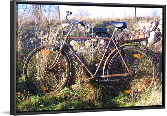 "Bicycle in The Sun"