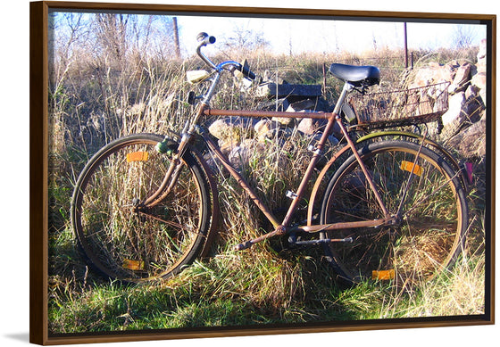 "Bicycle in The Sun"