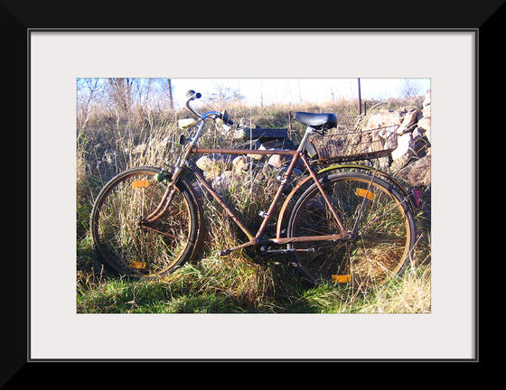 "Bicycle in The Sun"