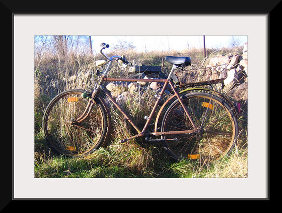 "Bicycle in The Sun"