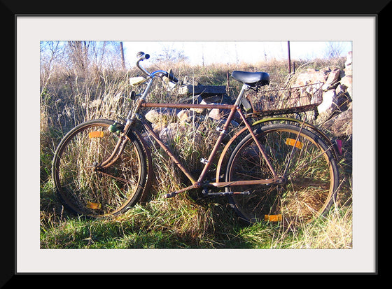 "Bicycle in The Sun"