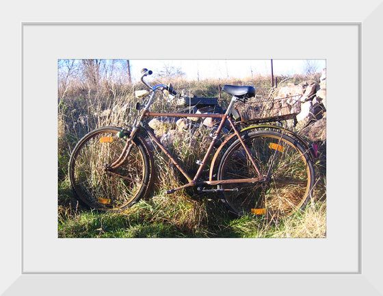 "Bicycle in The Sun"