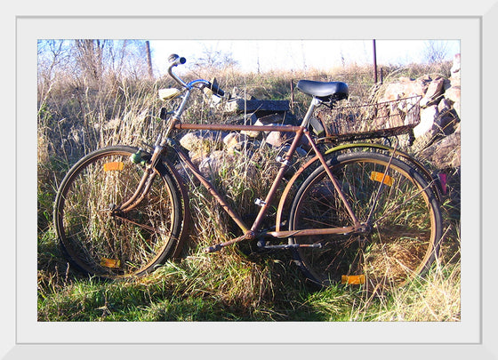 "Bicycle in The Sun"