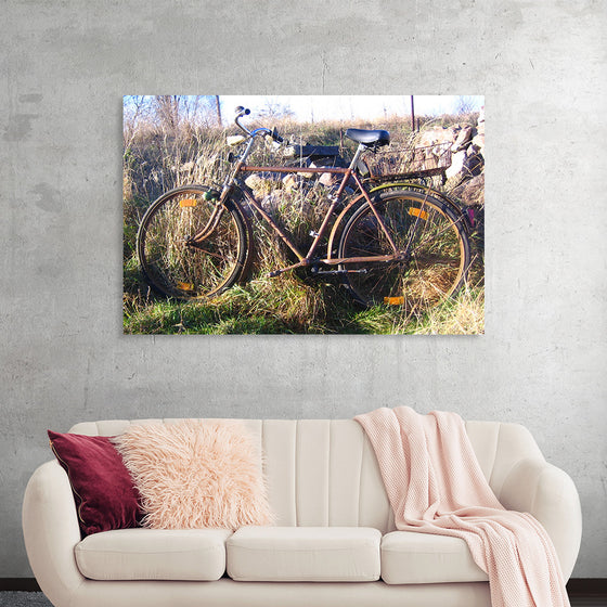 "Bicycle in The Sun"