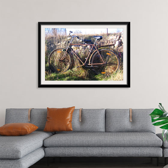 "Bicycle in The Sun"