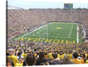 Capture the electrifying atmosphere of a live football game with this stunning print! Every inch is imbued with the raw energy and passion of fans adorned in vibrant yellow, their cheers echoing the triumphant spirit of the game. The meticulously captured details, from the sprawling stadium to the players in action, transport you right into the heart of an unforgettable moment. 