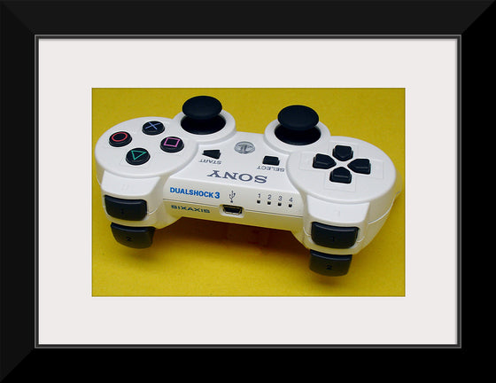 "Playstation DualShock 3 White Top Markings"