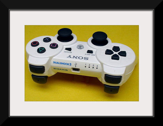 "Playstation DualShock 3 White Top Markings"