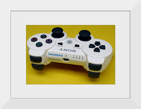 "Playstation DualShock 3 White Top Markings"