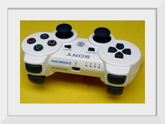 "Playstation DualShock 3 White Top Markings"