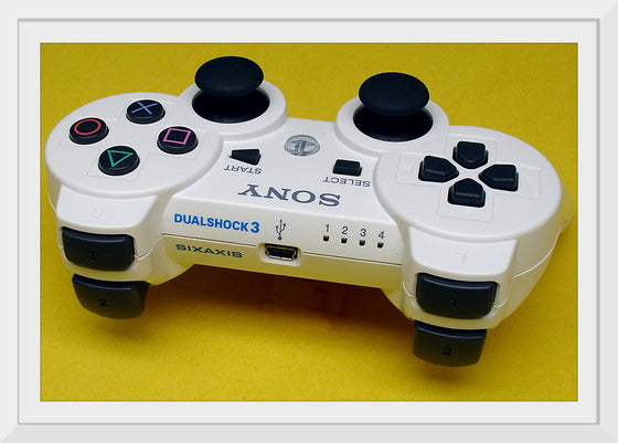 "Playstation DualShock 3 White Top Markings"
