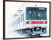 "Winter Train"