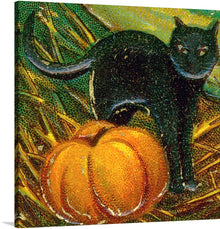  “Black Cat with Pumpkin” invites you into a bewitching world where feline grace meets autumnal enchantment. This exquisite print captures the essence of Halloween—the mysterious and the magical. The sleek black cat, its eyes aglow with secrets, stands elegantly beside a vibrant pumpkin. The contrast between the cat’s dark silhouette and the pumpkin’s warm orange hue creates a visual dance of light and shadow. 