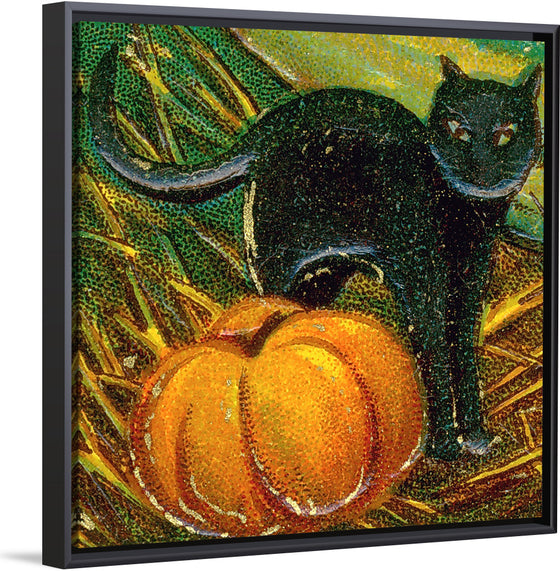 "Black Cat with Pumpkin"