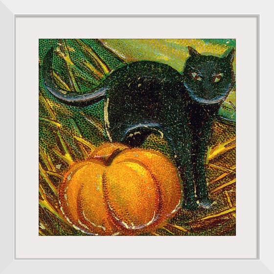 "Black Cat with Pumpkin"