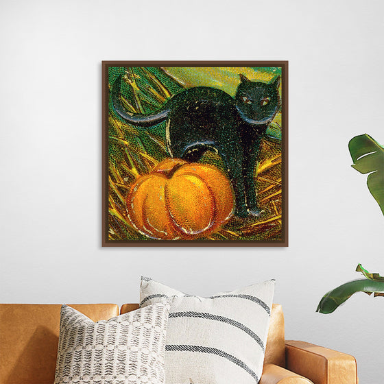 "Black Cat with Pumpkin"