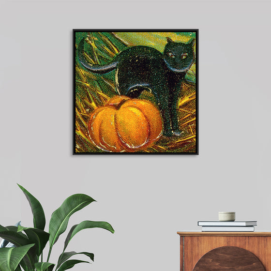 "Black Cat with Pumpkin"