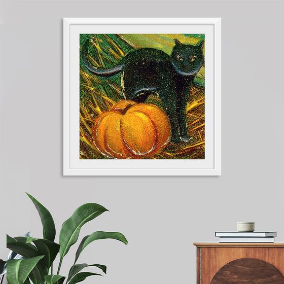 "Black Cat with Pumpkin"