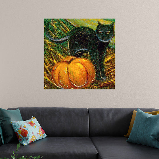 "Black Cat with Pumpkin"