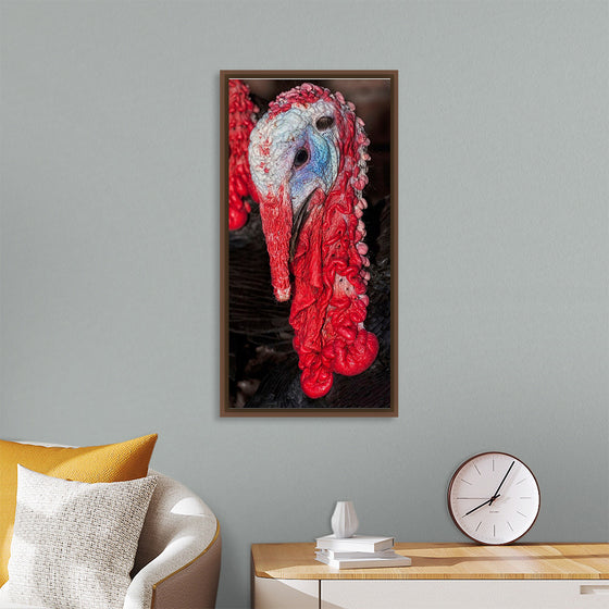 "Turkey bird"