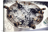 Elevate your space with this exquisite print that captures the essence of celebration and luxury. The artwork features an elegant silver bowl filled with glistening ice cubes and sophisticated champagne bottles, exuding an air of opulence. The golden accents on the bottles create a beautiful contrast against the icy cool tones, evoking a sense of anticipation for the effervescent delight that awaits within. 