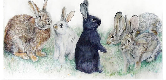 "Bunny Rabbits"