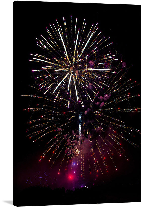 This breathtaking print captures the beauty and excitement of a fireworks display. The vibrant colors and intricate patterns of the fireworks are sure to add a touch of excitement to any room. The fireworks are in various patterns, including bursts and streaks. The background is a dark night sky. The image is vertical and the fireworks take up most of the frame. 