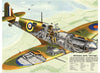 "Britain's New Spitfire"