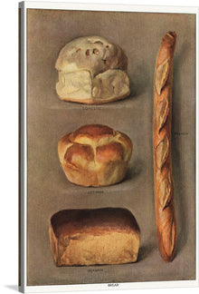  “The Grocer’s Encyclopedia (1911)” is a captivating glimpse into the rich tapestry of culinary history. In this exquisite print, meticulously crafted by Artemas Ward, the growing, preparation, and marketing of foods come alive. Each bread type—from the rustic French baguette to the hearty Graham loaf—is rendered with exquisite detail, evoking warmth and nostalgia.