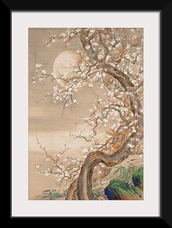 "Japanese Plum Blossoms in Moonlight (18th century)", So Shizan